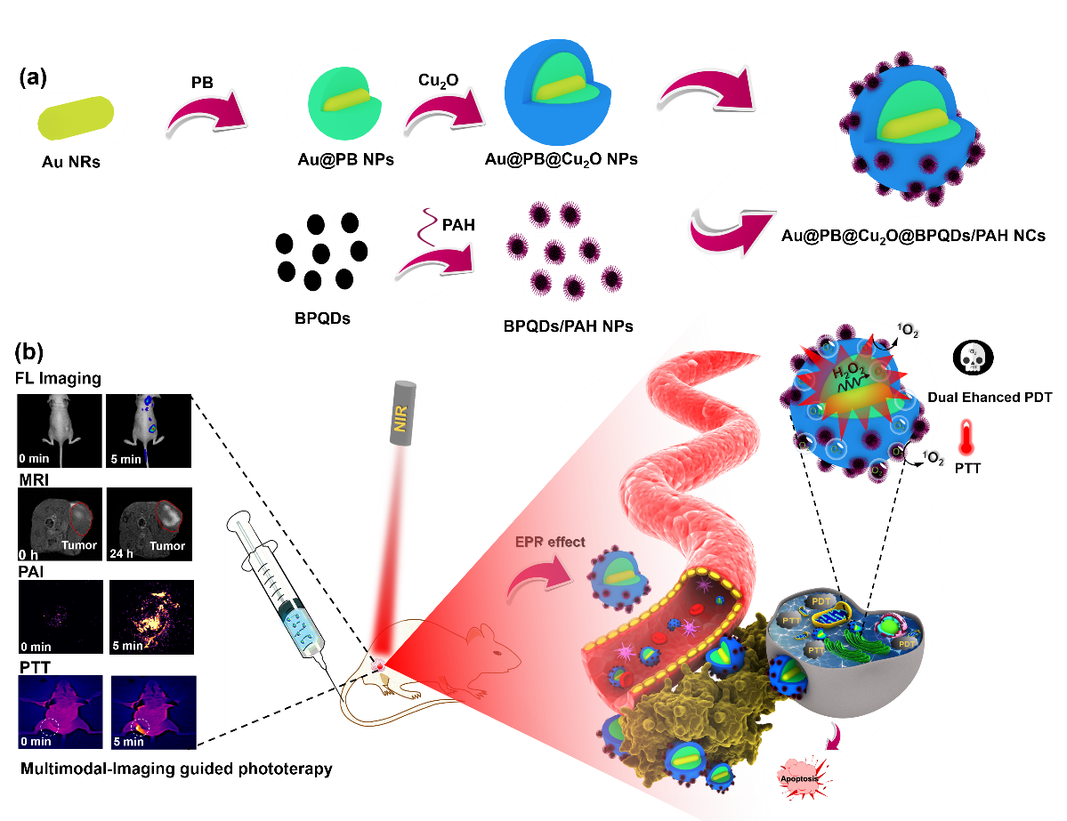 Nanomaterials And Nanobiosensors - DTU Health Tech